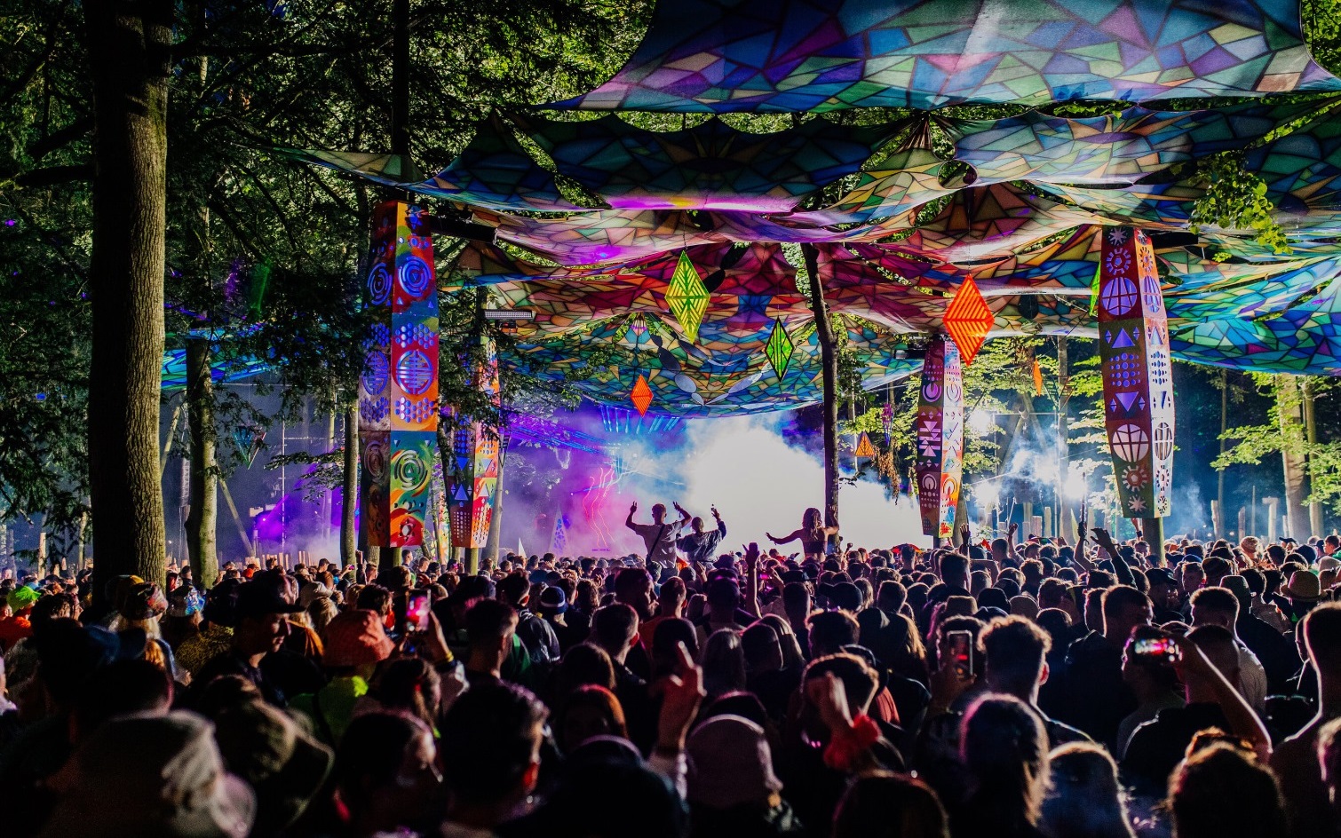 Boomtown Forest Party